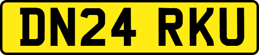 DN24RKU