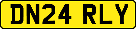 DN24RLY