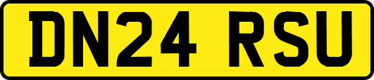 DN24RSU