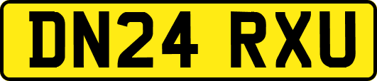 DN24RXU
