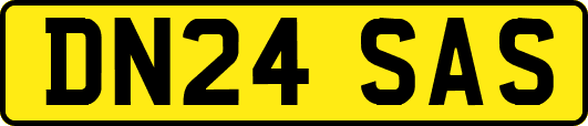 DN24SAS
