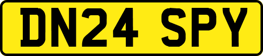 DN24SPY