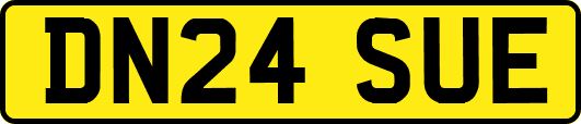 DN24SUE