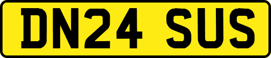 DN24SUS
