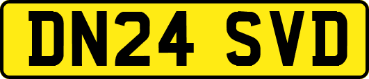 DN24SVD