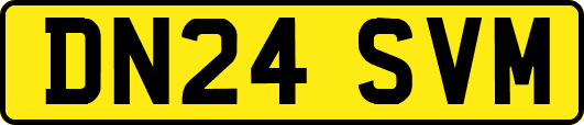 DN24SVM