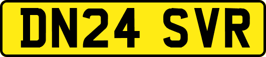 DN24SVR