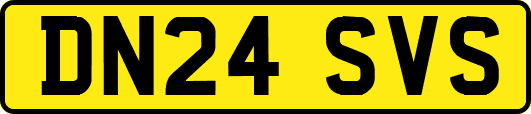 DN24SVS