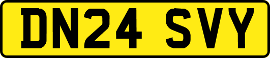 DN24SVY