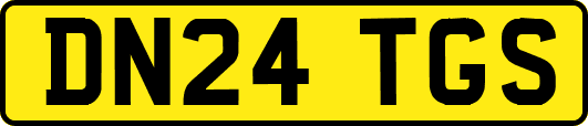 DN24TGS