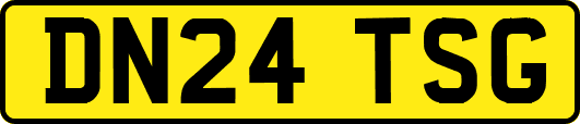 DN24TSG