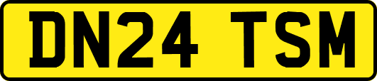 DN24TSM