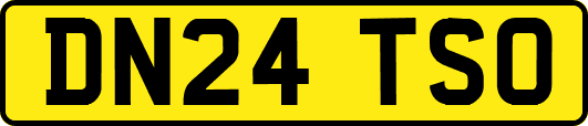 DN24TSO
