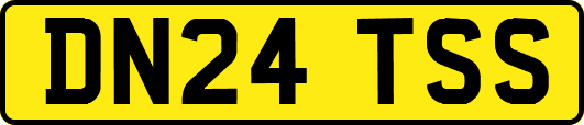 DN24TSS