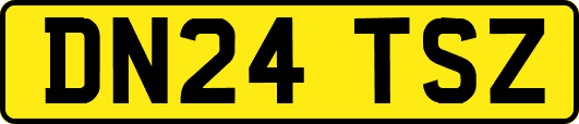 DN24TSZ