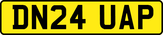 DN24UAP