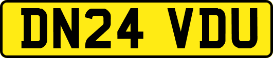 DN24VDU
