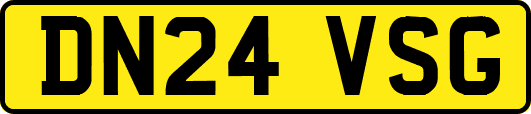 DN24VSG