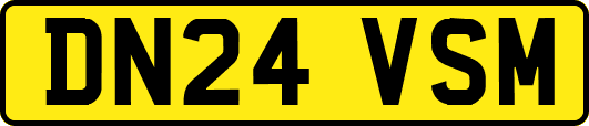DN24VSM