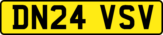 DN24VSV