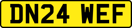 DN24WEF