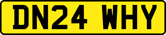 DN24WHY