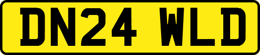 DN24WLD