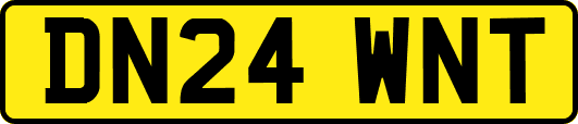 DN24WNT