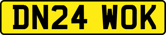 DN24WOK