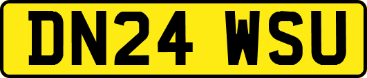 DN24WSU