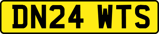 DN24WTS