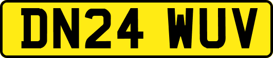 DN24WUV