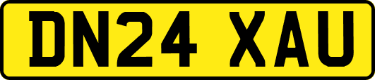 DN24XAU