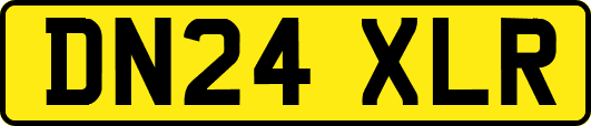 DN24XLR