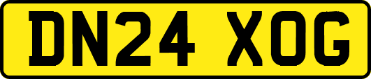 DN24XOG