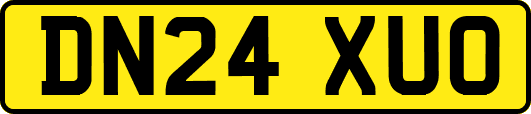 DN24XUO