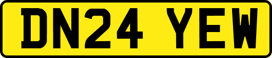 DN24YEW