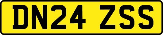 DN24ZSS
