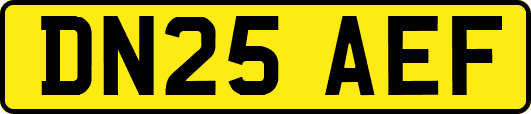 DN25AEF