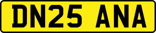 DN25ANA
