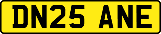 DN25ANE