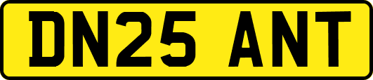 DN25ANT