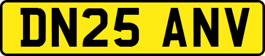 DN25ANV