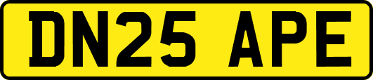 DN25APE