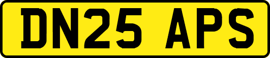 DN25APS