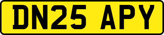 DN25APY