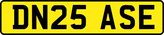 DN25ASE