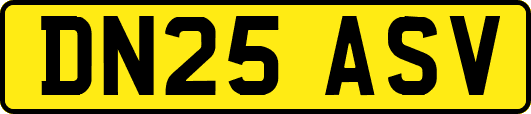 DN25ASV