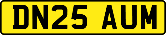 DN25AUM