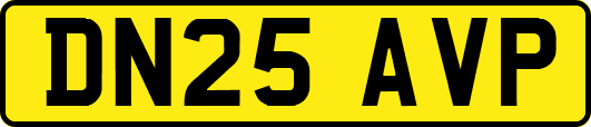 DN25AVP